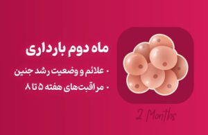 ماه دوم بارداری؛ علائم و توصیه‌های لازم