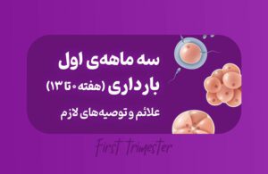 سه ماهه اول بارداری؛ علائم و توصیه‌های لازم