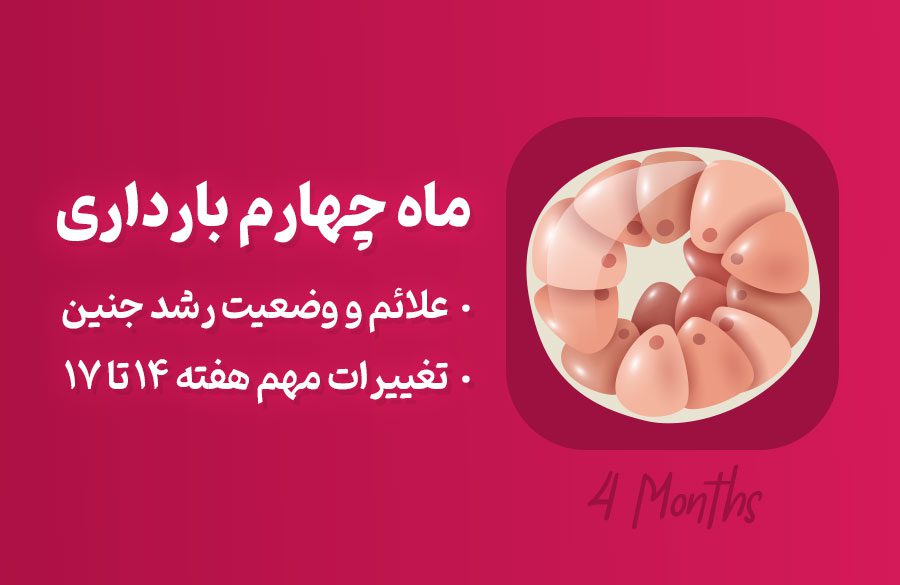 ماه چهارم بارداری؛ علائم و توصیه‌های لازم