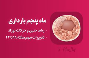 ماه پنجم بارداری؛ علائم و توصیه‌های لازم