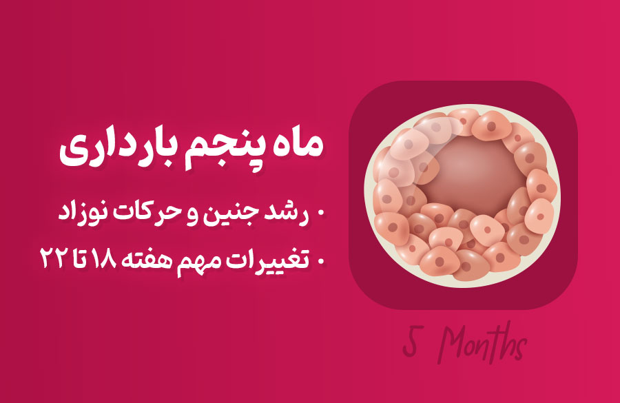 ماه پنجم بارداری؛ علائم و توصیه‌های لازم