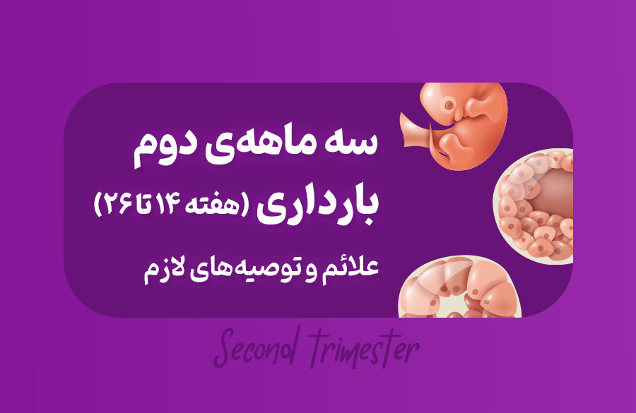 سه ماهه دوم بارداری، علائم و توصیه‌های لازم
